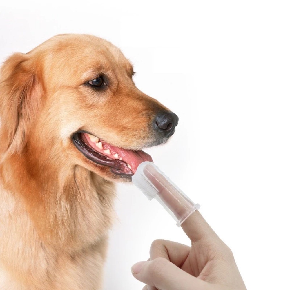 Tools & Workshop Equipment For Sale In Hampshire Page 3 50 Gumtree - スーパーソフトペット指歯ブラシテディ犬用ブラシ口臭歯石ケアツール犬猫クリーニングシリカゲルペット用品
